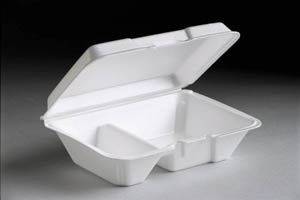 9 3/16 X 6.5 X 2.75 2-Compt Hinged Container