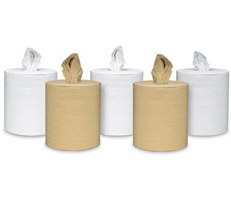 Centerpull Towels
