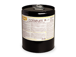 Buckeye Reflections Coliseum  Odorless Mineral Spirits, 